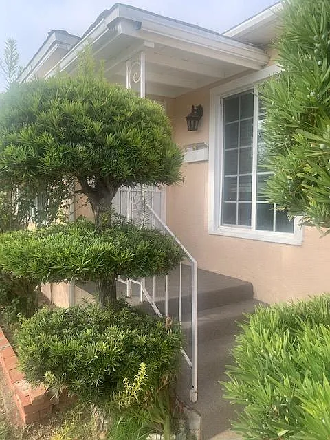 221 Cedar Ave — Photo 2