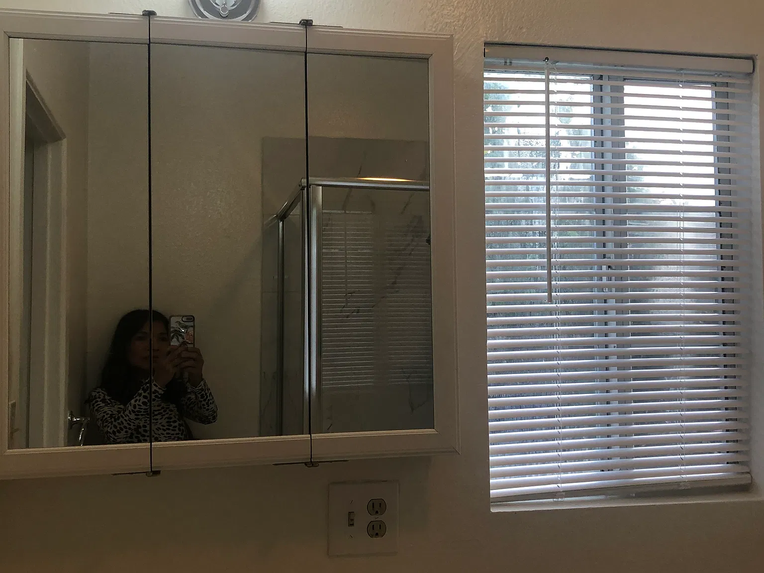 1 bed, 250 sqft, $1,500 — Photo 4