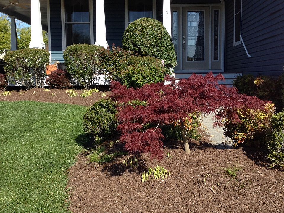 1st image of 101 Sassafras Ln