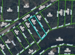Lewis Ln, Webster, FL 33597