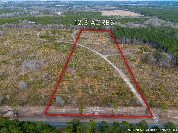 TRACT Four Well Line, Hawkinsville, GA 31036