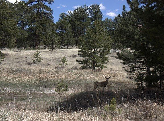 3rd image of 469 County Road 85