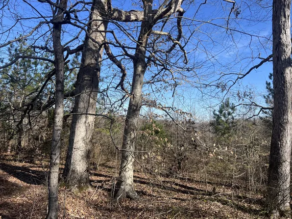 0 Blooming Grove Rd, Five Points, TN 38457