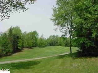 16 White Ln, Cadillac, MI 49601