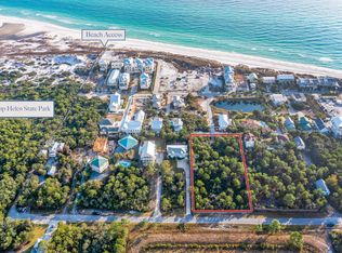 216 E Park Place Ave, Inlet Beach, FL 32461