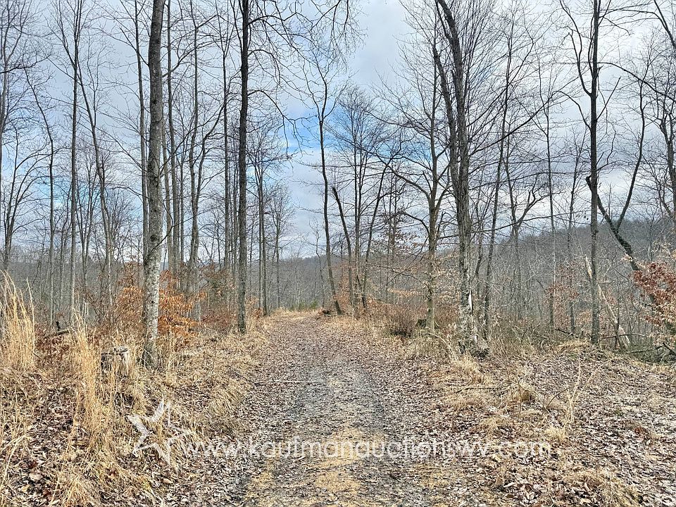 1st image of 0 Birch Run Rd