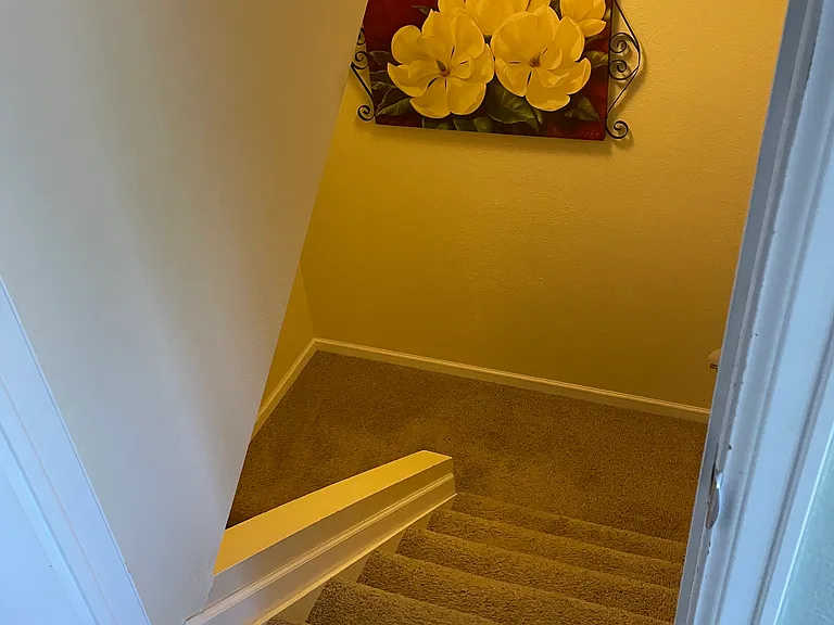 754 S Youngfield Ct #BASEMENT — Photo 5