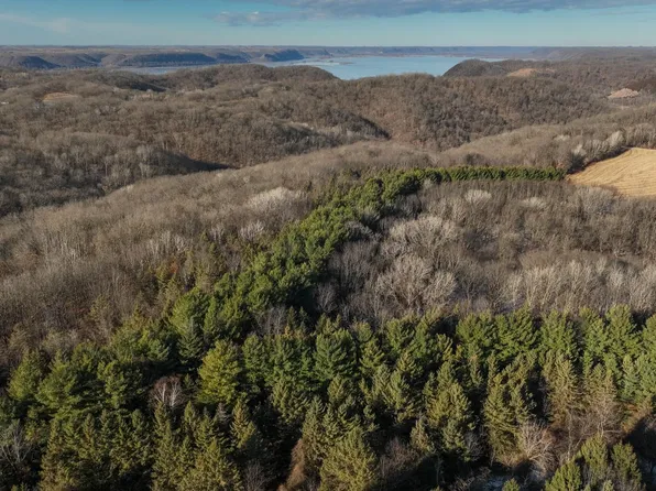 58694 Oak Grove Ridge Rd, Eastman, WI 54626