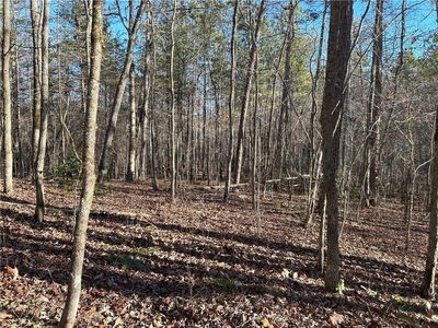 0 Pittman Rd, Dawsonville, GA, 30534