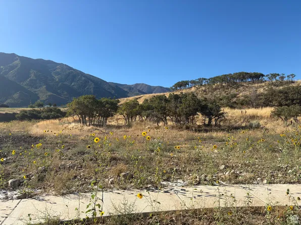 1605 S 920 E, Salem, UT 84653