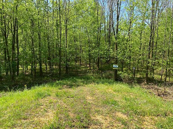 Gated entrance to interior road leading to food plots, hunting stands, and creek.