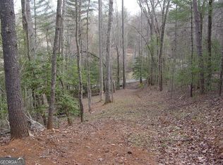 TRACT 3 Hf Lyons Rd, Hiawassee, GA 30546