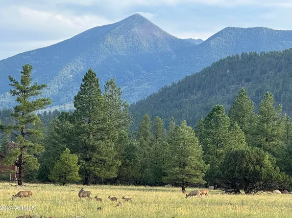 3373 Cione Ranch Road #-, Flagstaff, AZ 86001