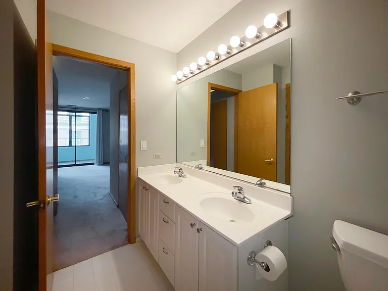 910 S Michigan Ave #1009 — Photo 13