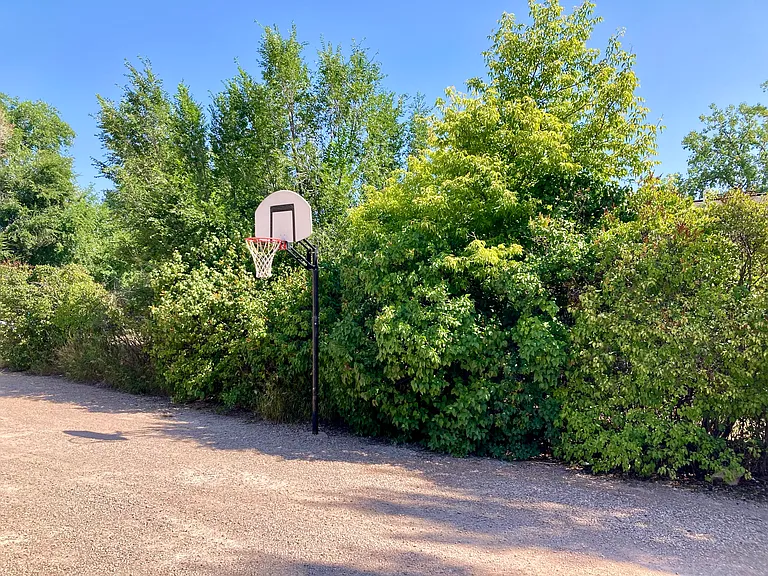 in the large driveway area is a basketball hoop