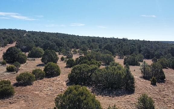 4th image of McComb Rd #Aa