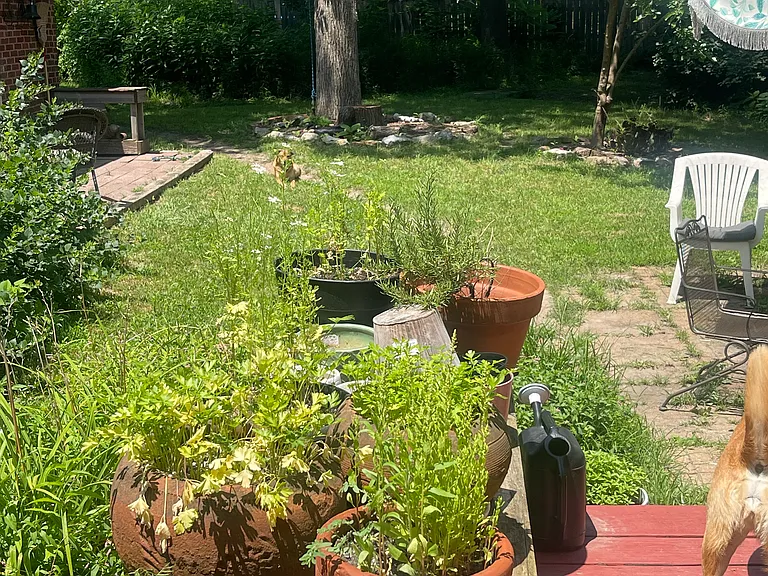 107 Park Hill Ave — Photo 8