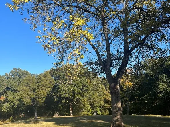 1486 Cedar Grove Rd, Big Sandy, TN 38221