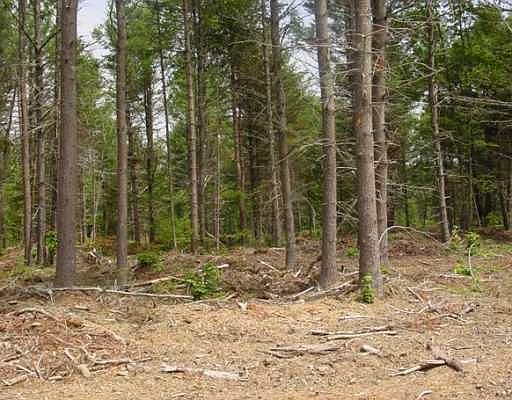 2nd image of 0 Blueberry Lane