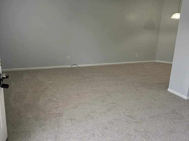 28173 Raleigh Crescent Dr — Photo 3