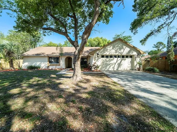 3419 Pleasant Lake Dr, Tampa, FL 33618