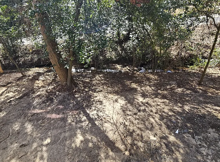 Behind our townhomes is lightly wooded area- some fenced Some can be, rents would be higher & longer leases reqd.