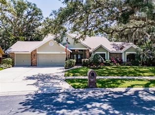 2538 Mason Oaks Dr, Valrico, FL 33596