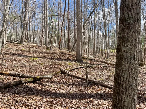 0 Otterville Rd #8, Bedford, VA 24523