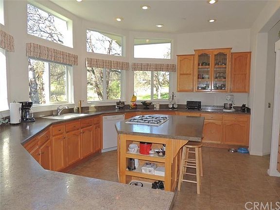 A wall of windows bring the trees right into the bright and spacious kitchen