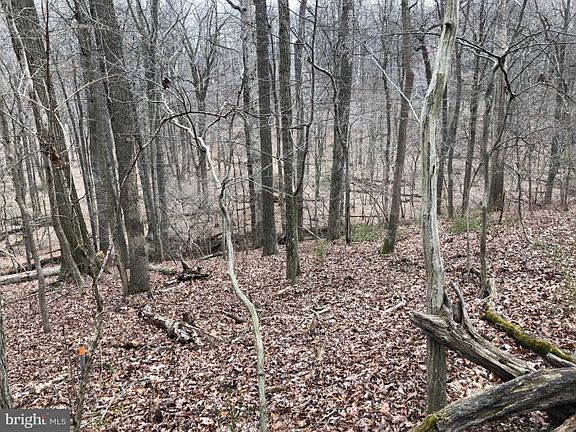 5th image of 6211 Caswell Ridge Way