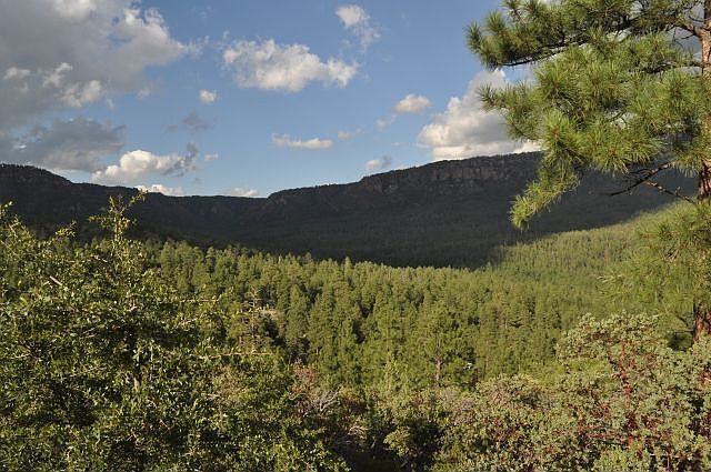 2nd image of 134 Knob Hl