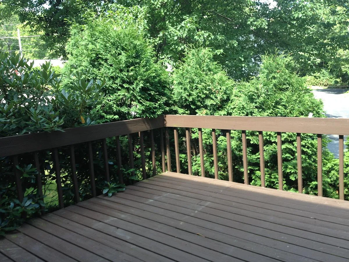 3 bed, 2.5 bath, 2000 sqft, $1,900 — Photo 3