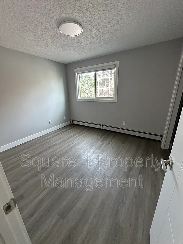 2 bed, 1.0 bath, $1,500 — Photo 4
