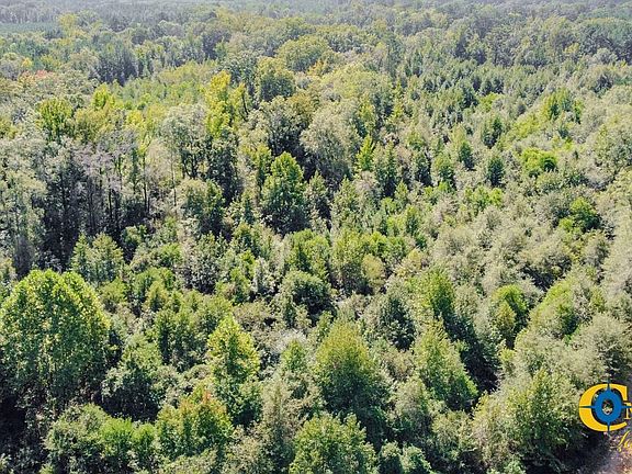 North Litroe Land For Sale In Louisiana 13
