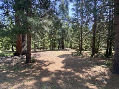 1018 Timber Ridge Rd, Westwood, CA, 96137