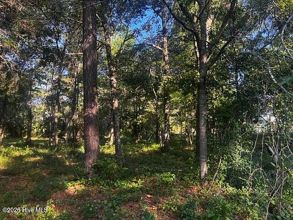 3rd image of 2425 Sunset Harbor Rd SE Lot 1