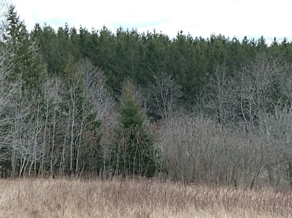 0 Slate Creek Rd #21, Andover, NY 14806