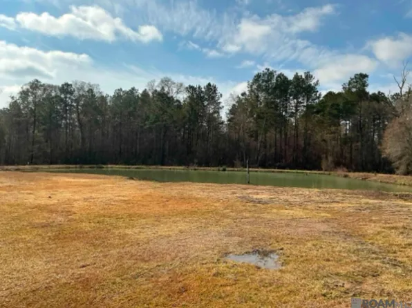 20229 Highway 16, Denham Springs, LA 70706