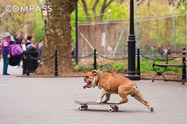 Rented by Compass | media 11