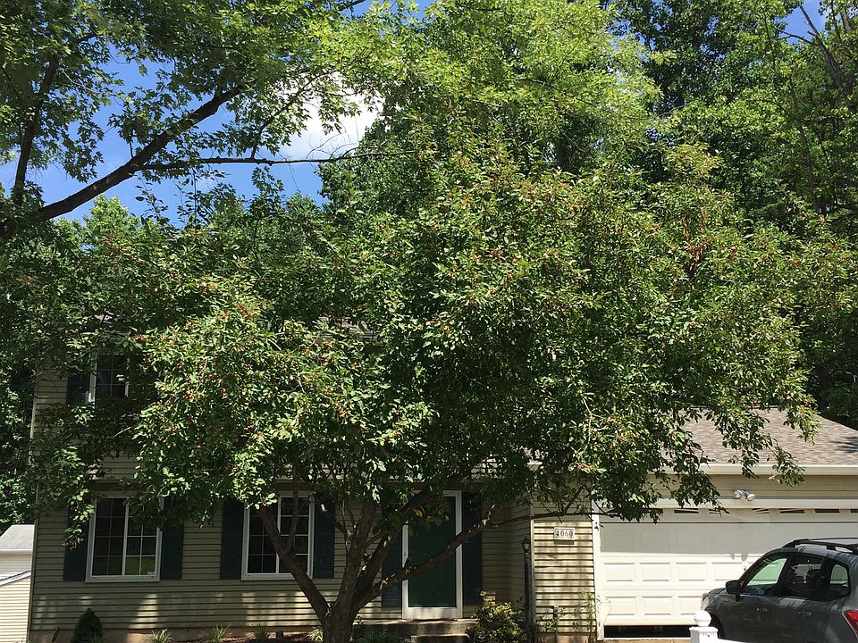 2nd image of 4060 Croaker Ln