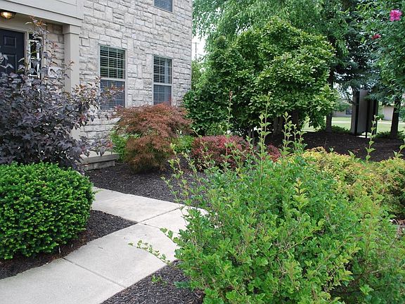 2nd image of 8649 Taylor Woods Dr