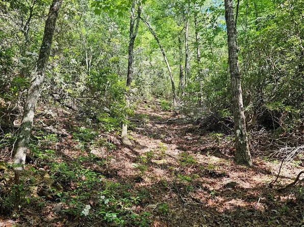 101 Arbor View Dr, Marion, NC 28752