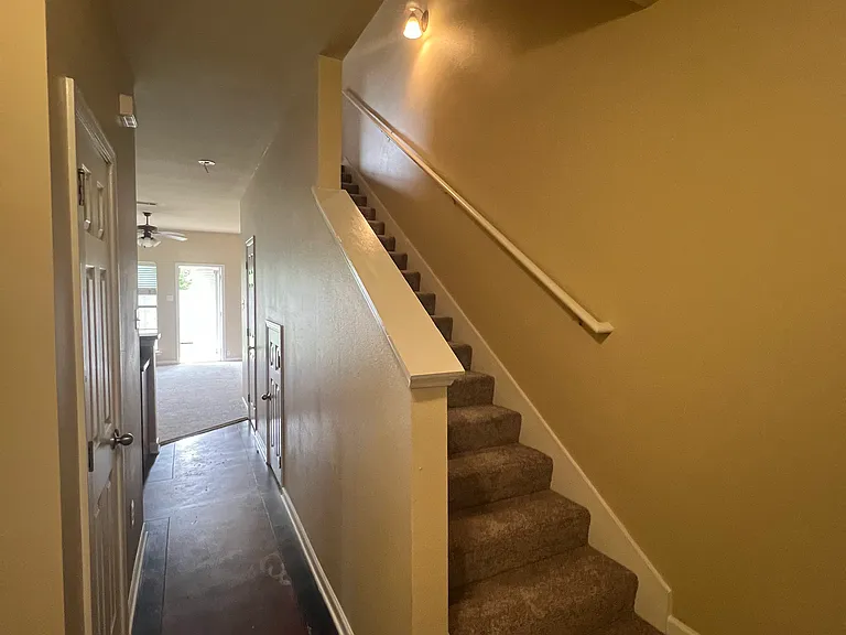 1900 Carrollwood Dr #3 — Photo 22