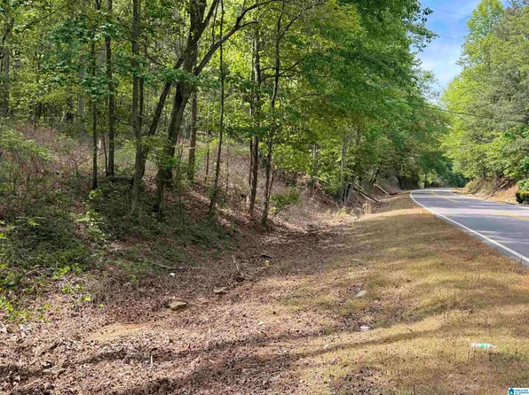 0 Goodwater Hwy #1, Sylacauga, AL 35150