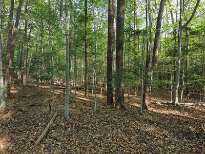 161 Yarnick Rd, Great Falls, VA, 22066