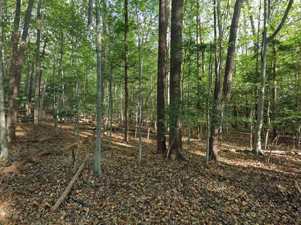 161 Yarnick Rd, Great Falls, VA 22066