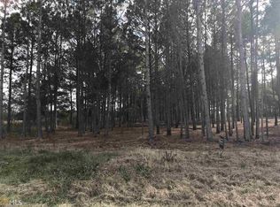 0 Ebb Peacock Rd East Chicken Rd, Chester, GA 31012