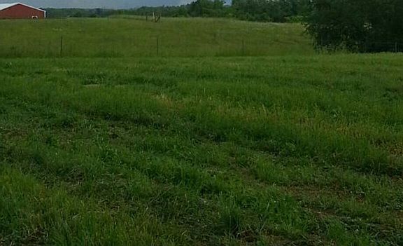 2nd image of 7076 Dixon Pike