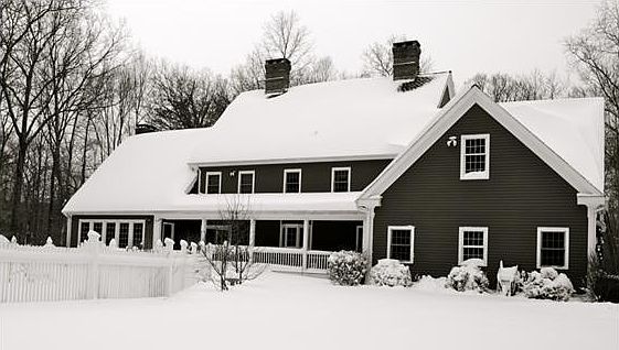 Winter (back)