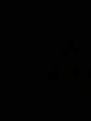 Rented by Friedman Roth Realty | media 25